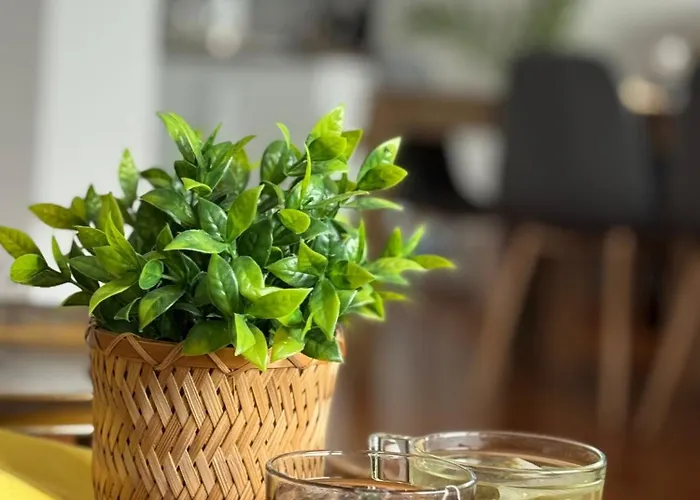 Kakavanen's Sea View Balchik